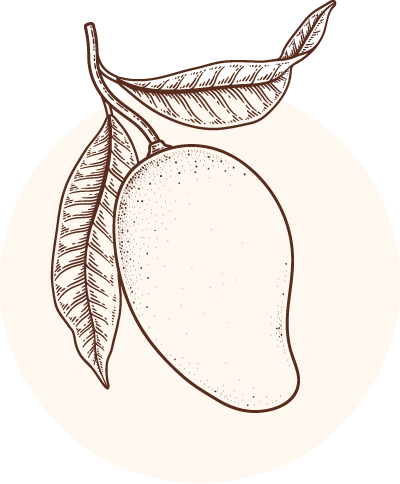 Illustration d'une mangue pour illustrer un café aux saveurs et cultures afros